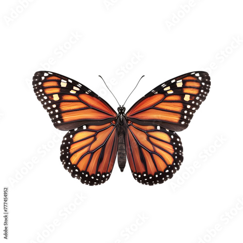 A large orange butterfly with black wings. Generative AI