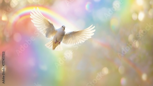 white dove flying in the sky with a rainbow in the background. 