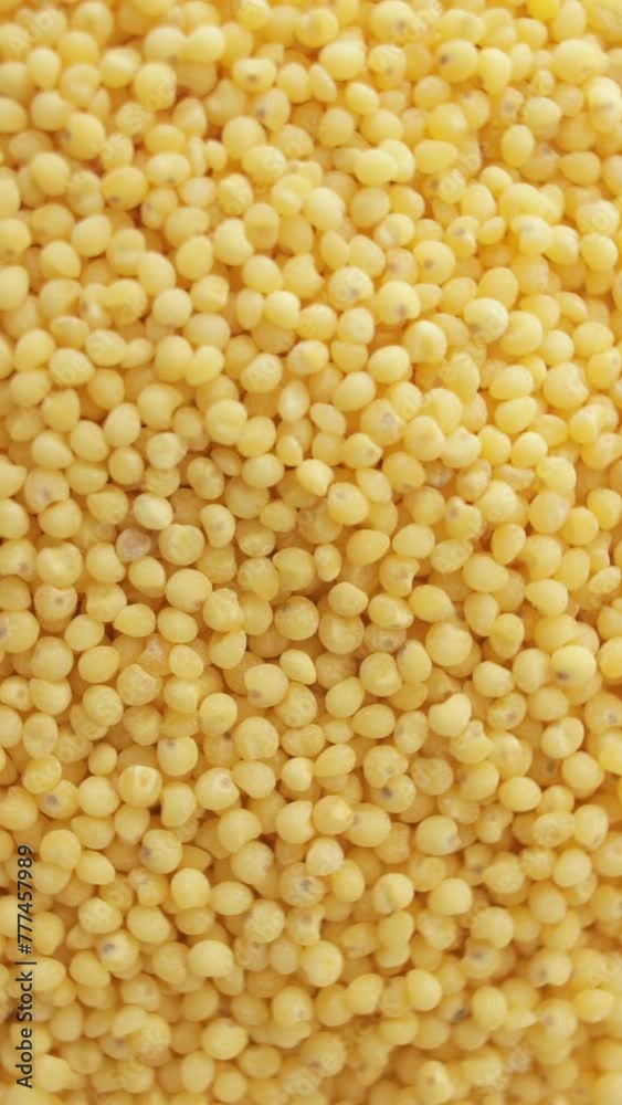 Millet grain close up background, texture. Food Background. Vertical video. Millet grain close up background, texture. Food Background. Vertical video.