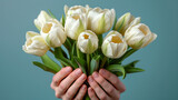 Bouquet of beautiful white spring tulips in women's hands.  Fresh spring composition on pale blue background. Top view. Copy space.