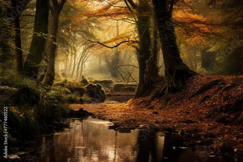 Woodland  background  An autumnal woodland scene with falling leaves  AI generated