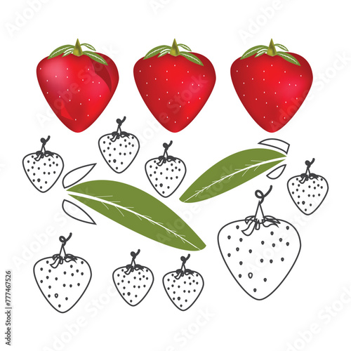 set of fruits and berries