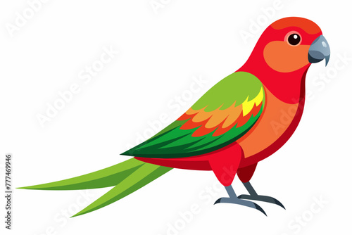 Red-breasted parakeet vector with white background. photo