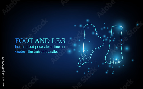 Human foot line, foot and leg, knee and toe, digital business concept, futuristic digital innovation background vector illustration.