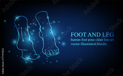Human foot line, foot and leg, knee and toe, digital business concept, futuristic digital innovation background vector illustration.
