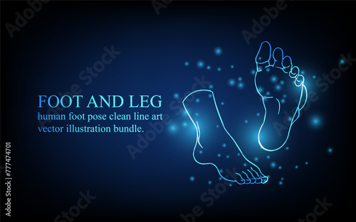 Human foot line, foot and leg, knee and toe, digital business concept, futuristic digital innovation background vector illustration.