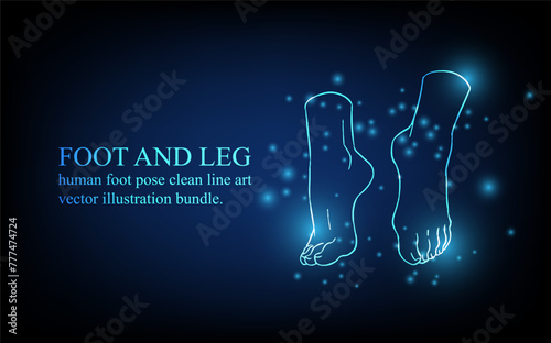 Human foot line, foot and leg, knee and toe, digital business concept, futuristic digital innovation background vector illustration.