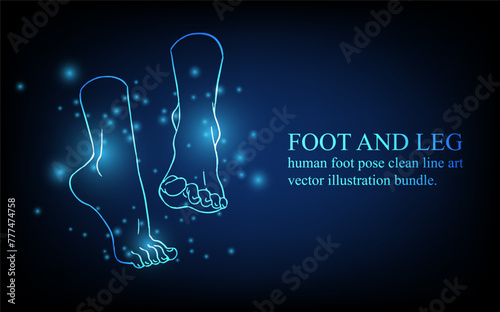 Human foot line, foot and leg, knee and toe, digital business concept, futuristic digital innovation background vector illustration.