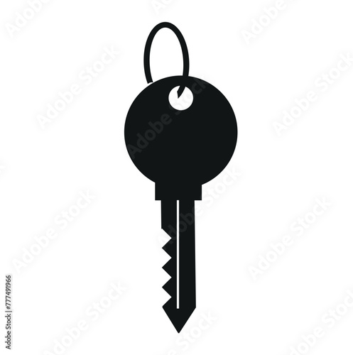 key icon. key button vector icon.