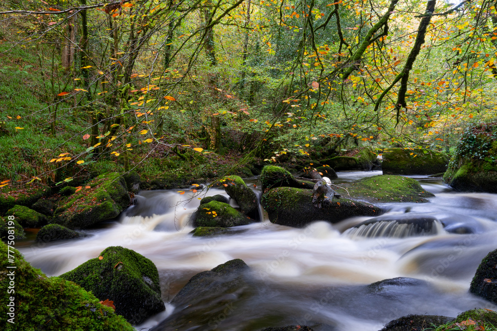 Pose longue en automne : la rivière argentée traverse un paysage de rochers polis et de feuillage aux teintes chaudes.