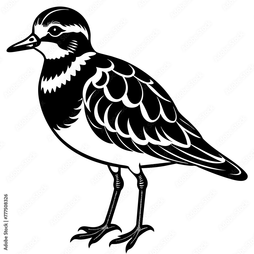 turnstone silhouette vector illustration,turnstone house,Cute cartoon turnstone characters,Holiday Silhouette,Hand drawn trendy Vector illustration,svg bat face