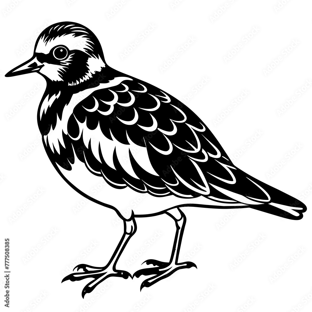 Fototapeta premium turnstone silhouette vector illustration,turnstone house,Cute cartoon turnstone characters,Holiday Silhouette,Hand drawn trendy Vector illustration,svg bat face