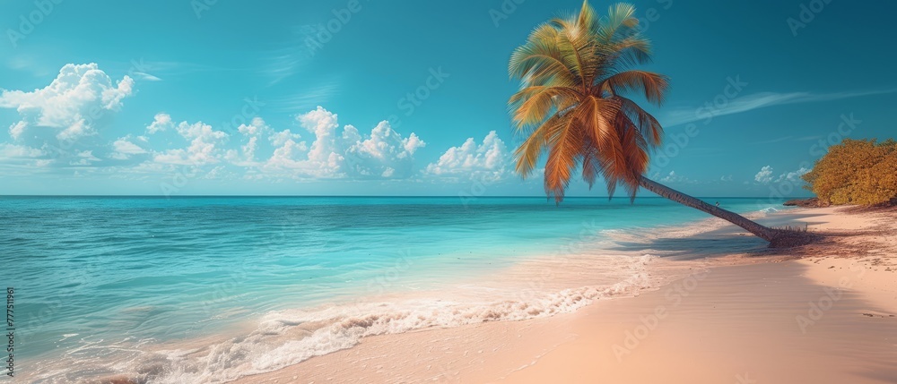   A palms tree borders the water's edge on a beach against a backdrop of azure sky and fluffy clouds