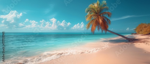   A palms tree borders the water's edge on a beach against a backdrop of azure sky and fluffy clouds © Mikus