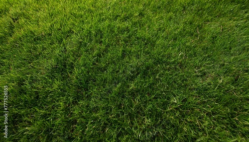 Green grass texture background, Top view of grass garden ideal concept used for making green flooring, lawn for training football pitch, Grass Golf Courses green lawn pattern texture photo