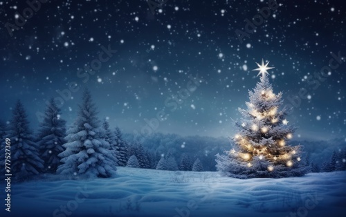 Illuminated Christmas tree in snowy landscape © Muh