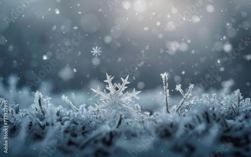 Macro shot of frosty snowflake in winter © Muh