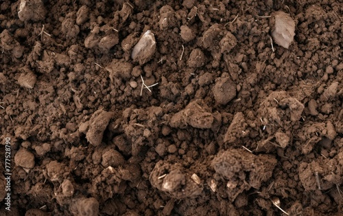 Rich brown soil texture with natural elements