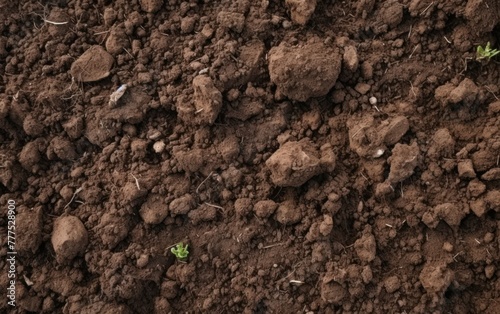 Fresh farm soil ready for planting crops