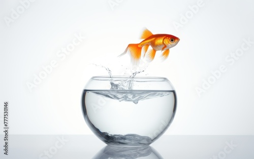 Goldfish halfway out of water in bowl