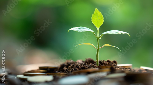 Financial Growth Concept, Plant sprouting from a pile of coins, symbolizing prosperity in business