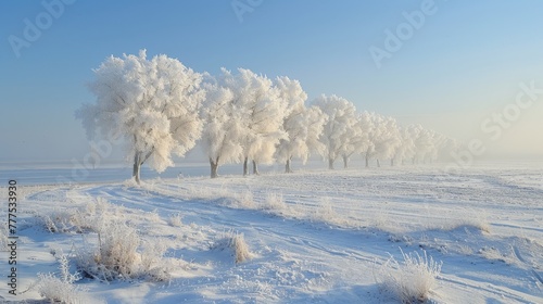 A snowy field with a row of trees in the foreground. The trees are covered in snow and the sky is clear and blue. The scene has a peaceful and serene mood © Sodapeaw