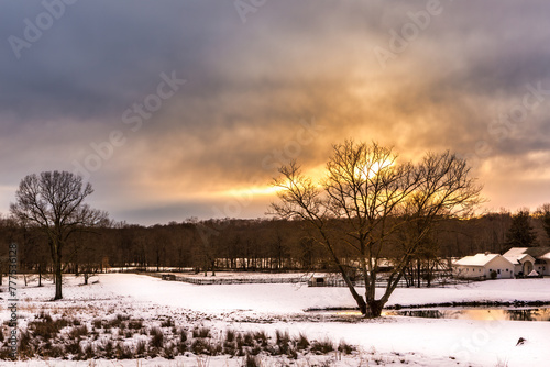 Winter time in Chatham, New Jersey with snowy trees at sunset.