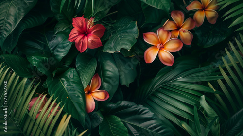 Close-up exotic tropical flowers. Summer time  nature  beauty. 