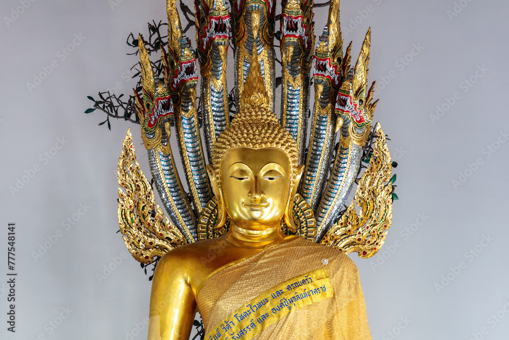 Obraz premium Closeup of Golden Buddha statue at Wat Po, in Bangkok, Thailand. Snakelike ornamentation behind; white background. 