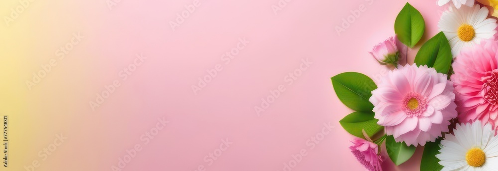 Fototapeta premium Banner spring flowers with free space in pastel colors 