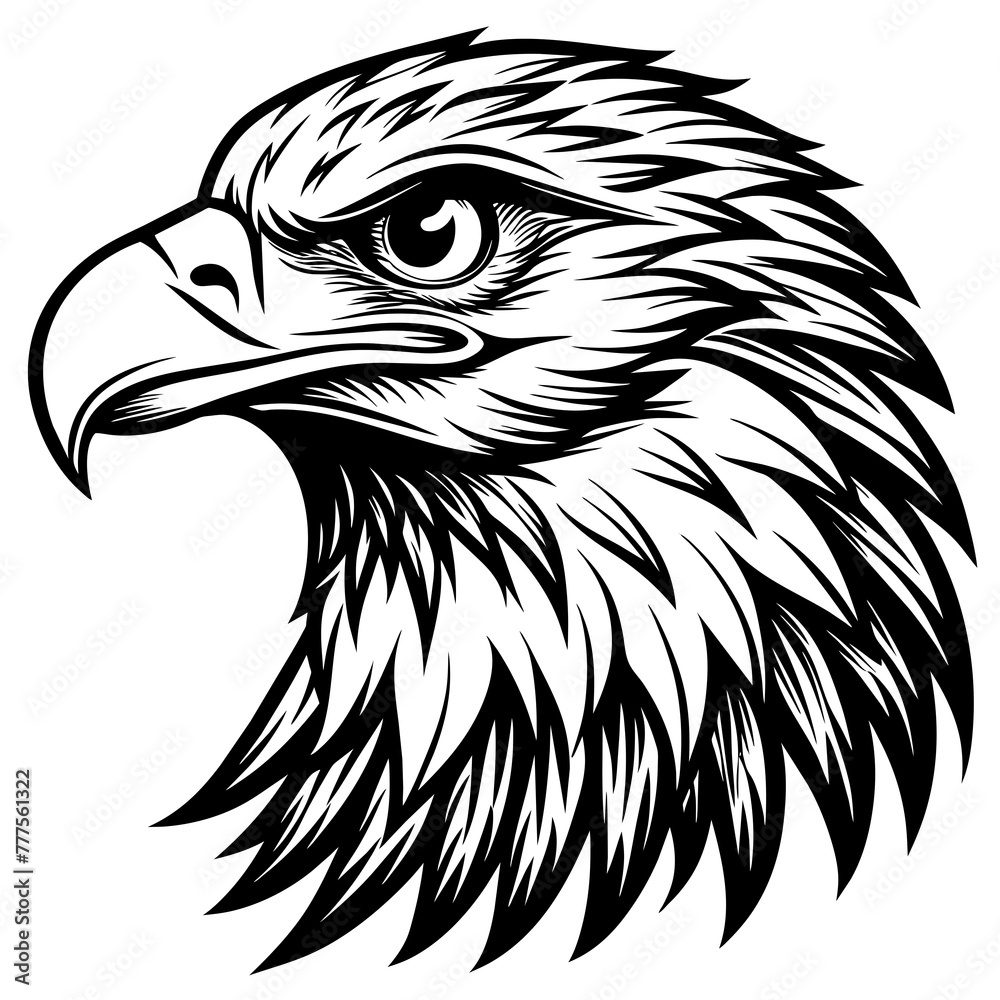 Obraz premium eagle-head- vector-design 