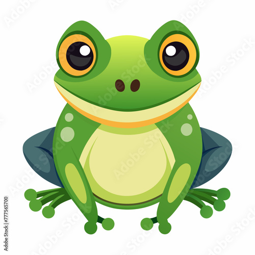 frog--on-a-white-background--no-background