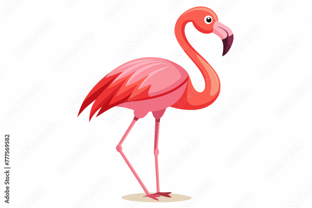 flamingo-standing--white-background-vector