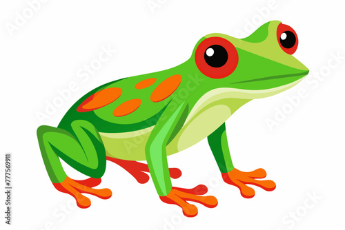 frog on a white background