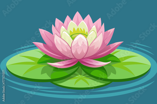 water-lily-vector-illustration