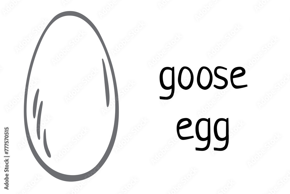 Goose egg. Vector doodle cartoon illustration isolated on white
