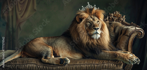 With regal elegance, a lion reclines on an ornate armchair, its majestic crown catching the light as it stares confidently into the camera lens photo