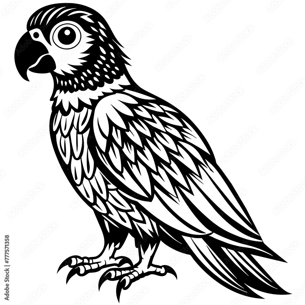 parrot vector design 