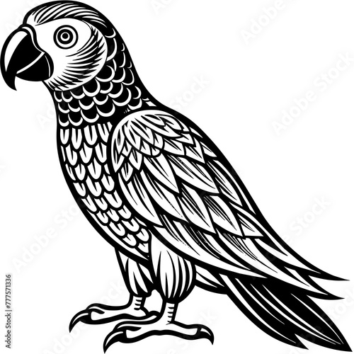 parrot vector design 