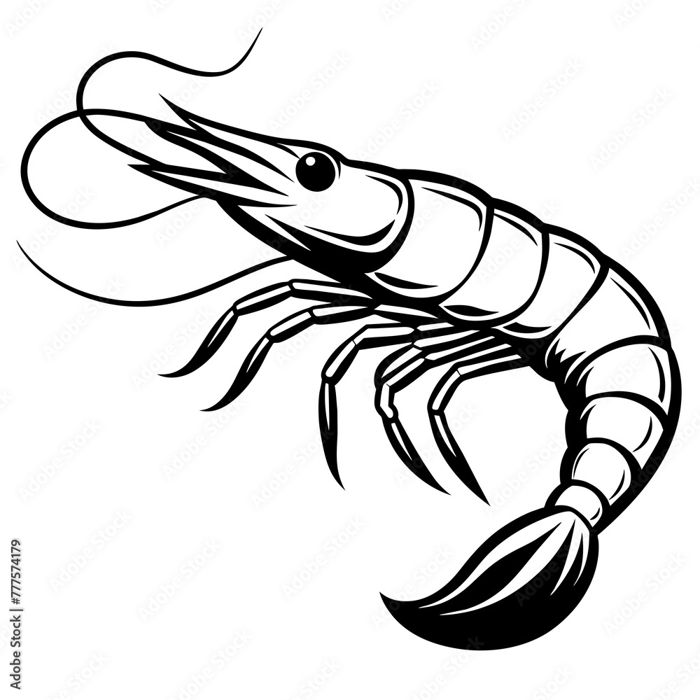 shrimp vector design shrimp vector design