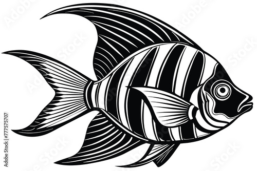 angel fish black and white vector photo