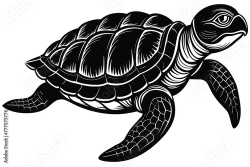 Archelon prehistoric animal black and white vector