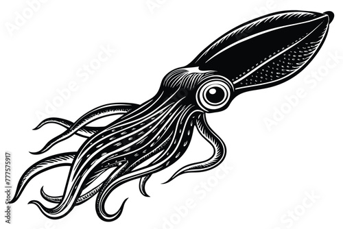 Argentine shortfin squid aquatic animal black and white vector