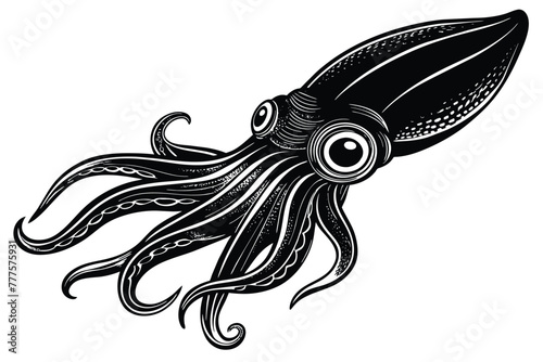 Argentine shortfin squid aquatic animal black and white vector photo