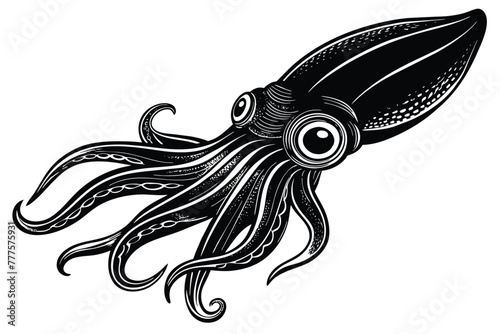 Argentine shortfin squid aquatic animal black and white vector