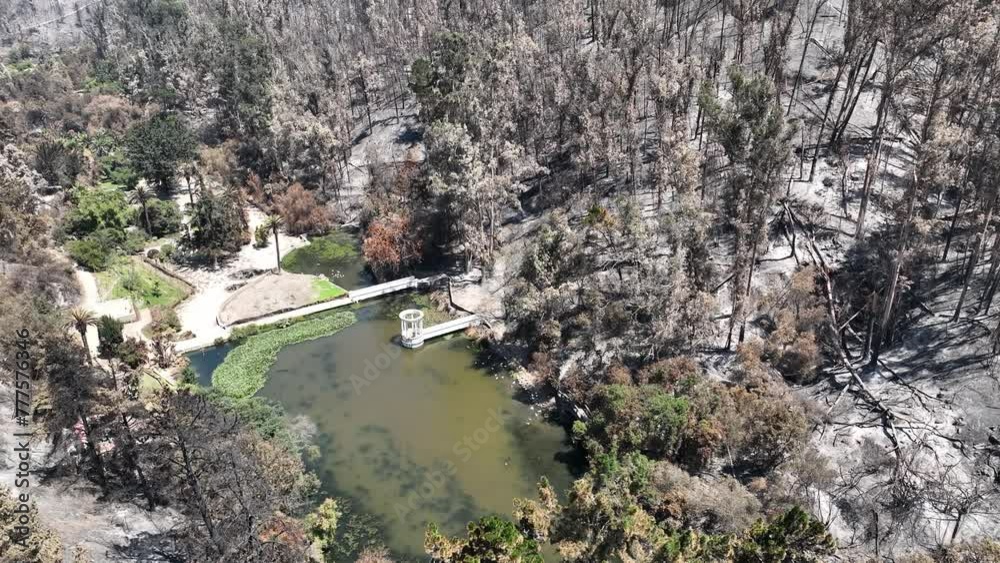 Desolation: Aerial Views of Scorched Earth