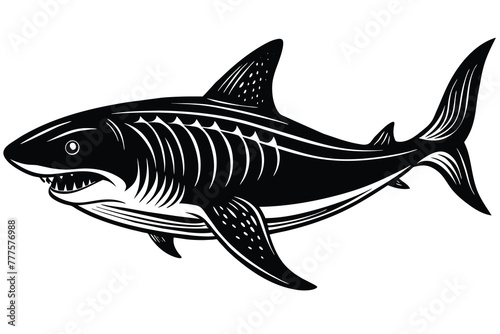 basking shark white and black vector