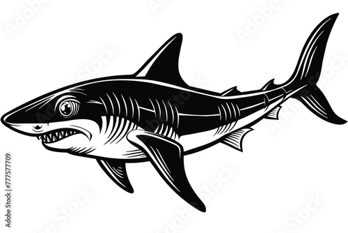 black and white bonnethead shark vector