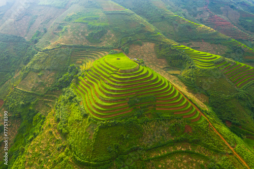 Aerial top view of paddy rice terraces, green agricultural fields in countryside or rural area of Mu Cang Chai, Yen Bai, mountain hills valley at sunset in Asia, Vietnam. Nature landscape background.