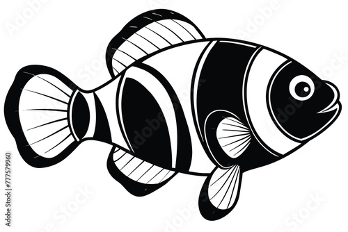 black and white clown fish vector